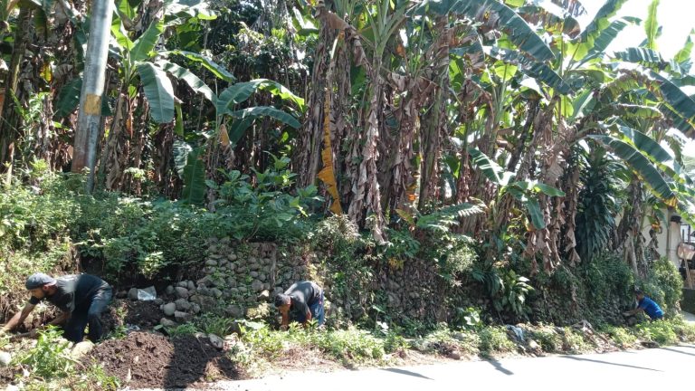 Kegiatan PKTD Desa Pekalongan Tahun 2025